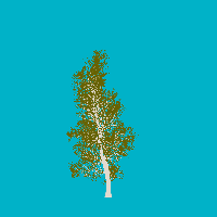 greenshift tree