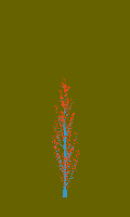 greenshift tree
