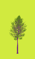 greenshift tree