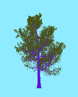 greenshift tree