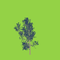 greenshift tree