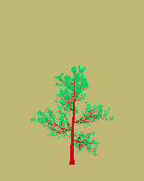 greenshift tree