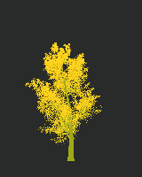 greenshift tree