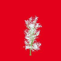 greenshift tree