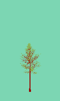 greenshift tree