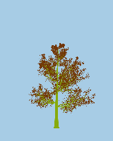 greenshift tree