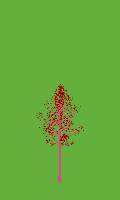 greenshift tree
