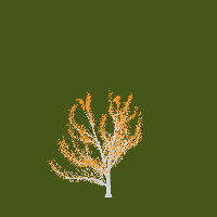 greenshift tree