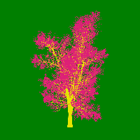 greenshift tree