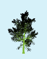 greenshift tree