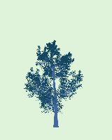 greenshift tree