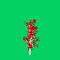 greenshift tree