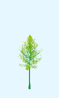 greenshift tree