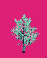 greenshift tree
