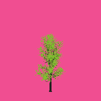 greenshift tree