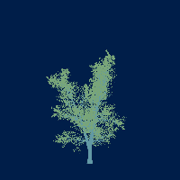 greenshift tree