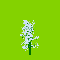 greenshift tree
