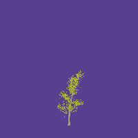 greenshift tree