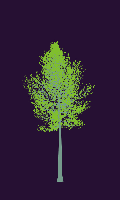 greenshift tree