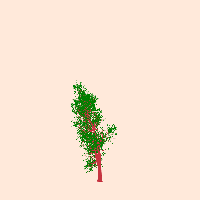 greenshift tree