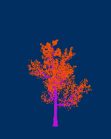 greenshift tree