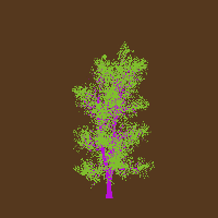 greenshift tree