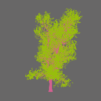 greenshift tree
