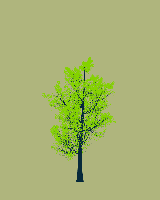 greenshift tree