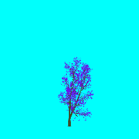 greenshift tree