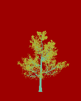 greenshift tree