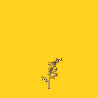 greenshift tree