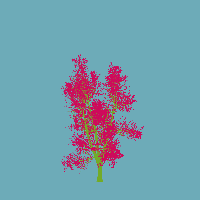 greenshift tree