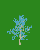 greenshift tree