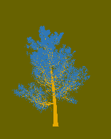 greenshift tree