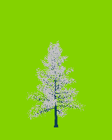greenshift tree