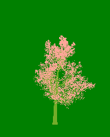 greenshift tree