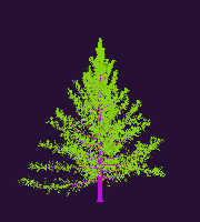 greenshift tree