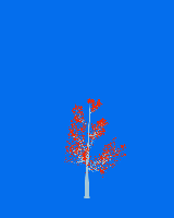 greenshift tree