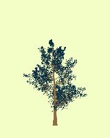 greenshift tree