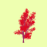 greenshift tree
