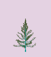 greenshift tree