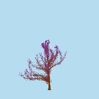 greenshift tree