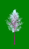 greenshift tree