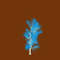 greenshift tree