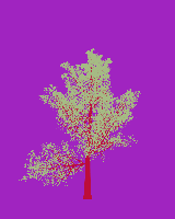 greenshift tree