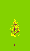 greenshift tree