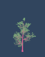 greenshift tree