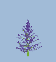 greenshift tree