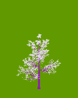 greenshift tree