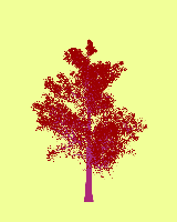 greenshift tree